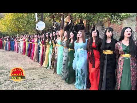 Andaç Elemun Düğünü - Özgün Tekçe