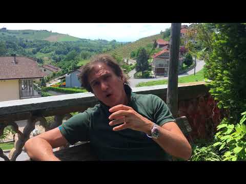 What is the Dolcetto grape & Dolcetto wine all about? Guide to Dolcetto