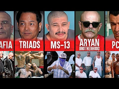 The most dangerous gangs in the world: No escape