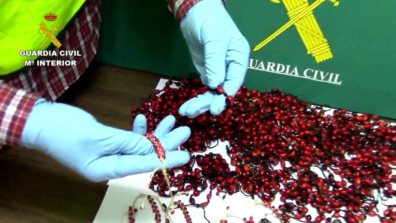 Watch ❌Retiran pulseras elaboradas con semillas tóxicas en Barcelona❌ Now ❌Retiran pulseras elaboradas con semillas tóxicas en Barcelona❌