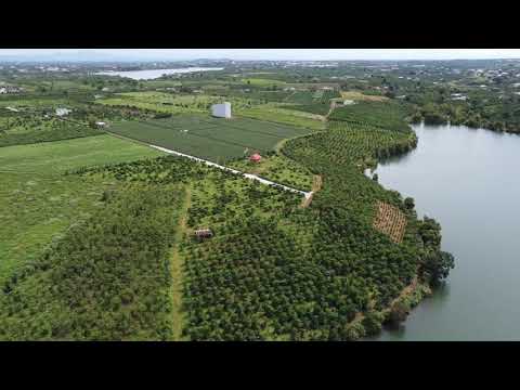 Đất vườn hồ Cánh Bướm, Bảo Lâm - Đầu tư, nghỉ dưỡng phố núi