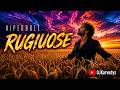 HIPERBOLĖ – RUGIUOSE | Nauja dainos versija 2026 | DJKarvedys