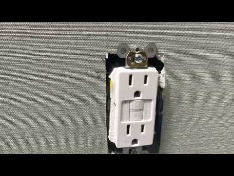 Ant Nest Found in Electrical Outlet in Island Heights, NJ