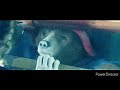 Paddington 2 Underwater Scenes Brightened And Sharpness Edit