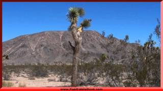 preview picture of video 'Ash Lane, Landers, CA 92285'