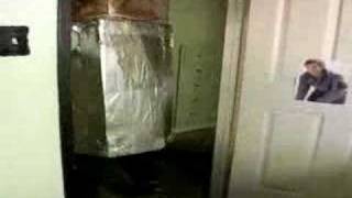 Safe To Say- The Lashes