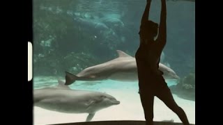 Illum Sphere (ft Shadowbox) - The Road (Charles Manier Remix)(unofficial video)