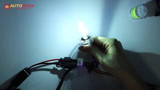 Car-Prolight H15 6000K 35W +DRL [2 шт.] - відео 1