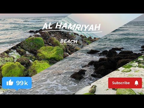 Al Hamriyah Public Beach Beach in Sharjah Hamriyah Best Place In UAE 🇦🇪