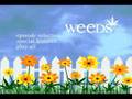 Weeds Dvd Menu