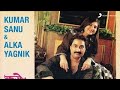 Karo Itni Mohabbat Sanam Cover By Amit Agrawal Karaoke Kumar Sanu Alka Yagnik 90s Melody