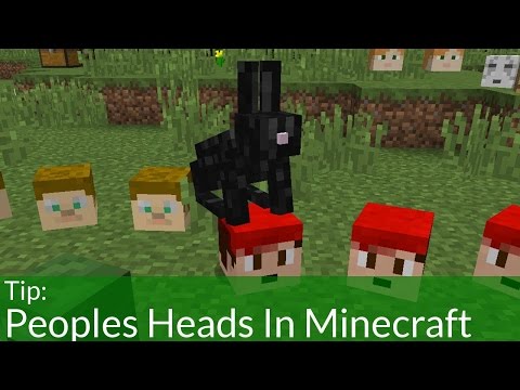 How To Get People's Heads In Minecraft