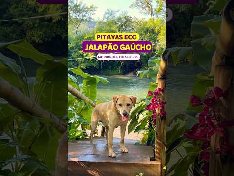 😱ÚNICO Jalapão do Rio Grande do Sul #pirayaseco #morrinhosdosul
