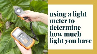 Using a Light Meter to Determine How much Light You Have