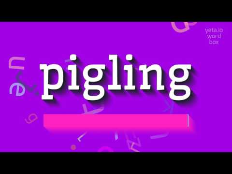 HOW TO SAY PIGLING? #pigling