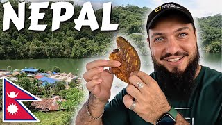 The Best $7 Fish From Begnas Lake In Majhikuna, Nepal 🇳🇵
