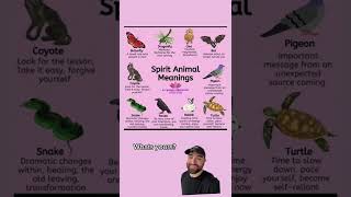 Download lagu Spirit animal meanings mp3