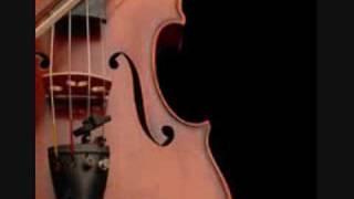 Bach-Vivaldi Conversations ~ Caminantes, Héctor David