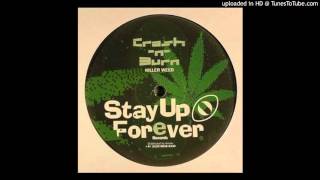 Crash 'N' Burn - no future for the dispossessed