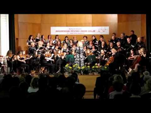Akademski pevski zbor Celje in Mladinski godalni orkester GŠ Celje - Ave verum corpus