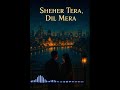 Sheher Tera Dil Mera Hindi Punjabi Song Official Music