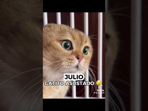 5 de noviembre de 2024