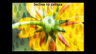 Marillion - Pour My Love (Traducción al español)