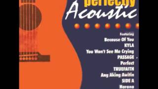 You Won&#39;t See Me Crying Acoustic