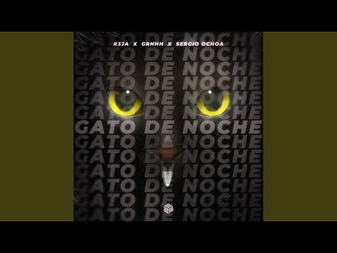 Gato de Noche