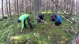preview picture of video 'Vaelluskurssin retki Tikkala-Kuohu 5.-7.10.2012'