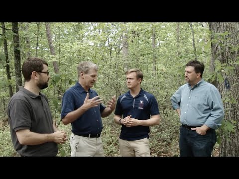 Debate: Which wounding was more fatal for the Confederacy, Jackson or Longstreet?