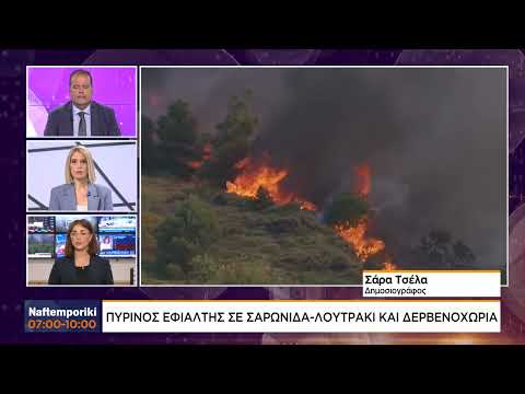 Σε κίνδυνο χοιροτροφική μονάδα κοντά στη Μάνδρα