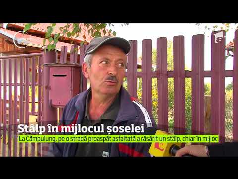 Dorel nu încetează să surprindă! În Câmpulung Muscel, un stâlp electric pare să fi răsărit