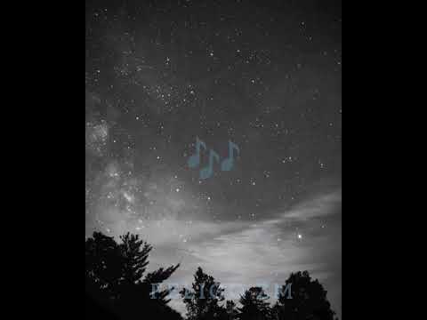 JC kalinks ft bobby East shilala lyrics videos 🎶🇿🇲😇