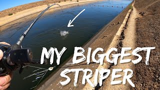 I Caught My Personal Best Striper!! Limited Out On The A-Rig! | CA Aqueduct Fishing| Iu Mien