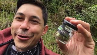 Candy Jack Weed Review