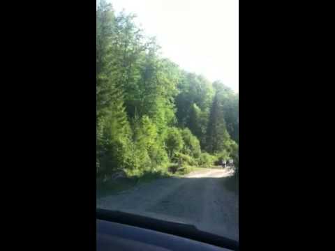 Iulie 2013 Valea Cheii - Rezervatie naturala