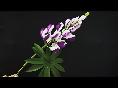 Bella’s Craft/ how to make Lupin flower by crepe paper/ Hướng dẫn làm hoa đậu chùm bằng giấy nhún
