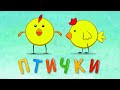 ПТИЧКИ - Детская песенка мультик для малышей. Ворона, утка, курица, воробей, попугай ...