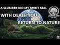 A Slumber Did My Spirit Seal Class 9 Animated Poem Summary Explanation One Shot Beehive Poem 8