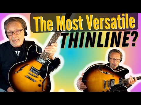 Versatile Thinline Guitar. One For Jazz, One For Blues, What's Better?