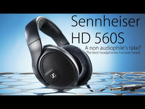 A Regular Take on The Sennheiser HD 560S