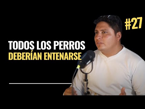 Lugares PET FRIENDLY, ENTRENAR perros, SERVICE DOGs, INFLUENCERS... #27 Rashid Cortazar