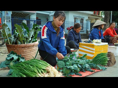 Harvest onions and 30 heads of broccoli to sell. Expand the farm and raise a new flock of chickens.