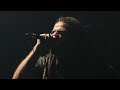 Into The Vein Echoes Within Official Music Video