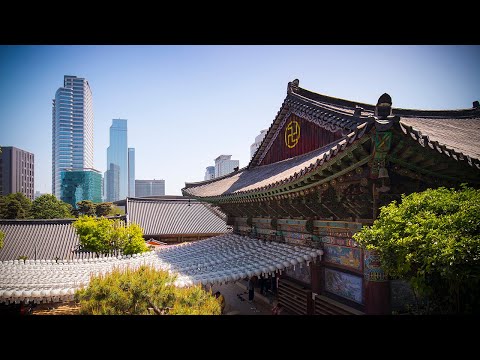 首爾市視頻指南｜Expedia (Seoul City Video Guide | Expedia)