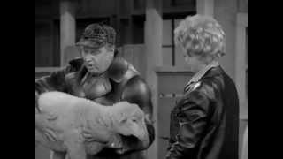 The Lucy Show.  Lucy Buys a Sheep.