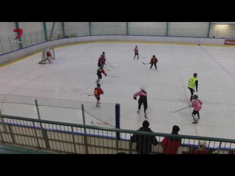 JYP E/F-tytöt -  Diskos 1 12.11.2016