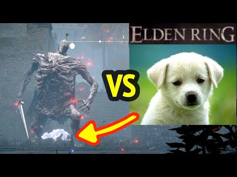 Rotten Stray +10 vs Troll Knight in Elden Ring