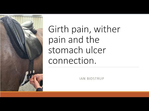 Preventing Injuries in Steer Wrestling